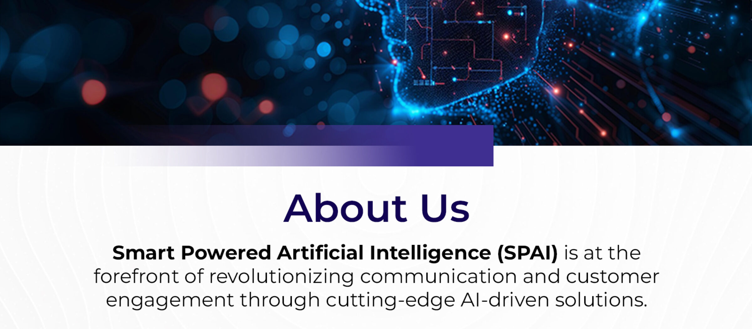 SPAI company profile deck