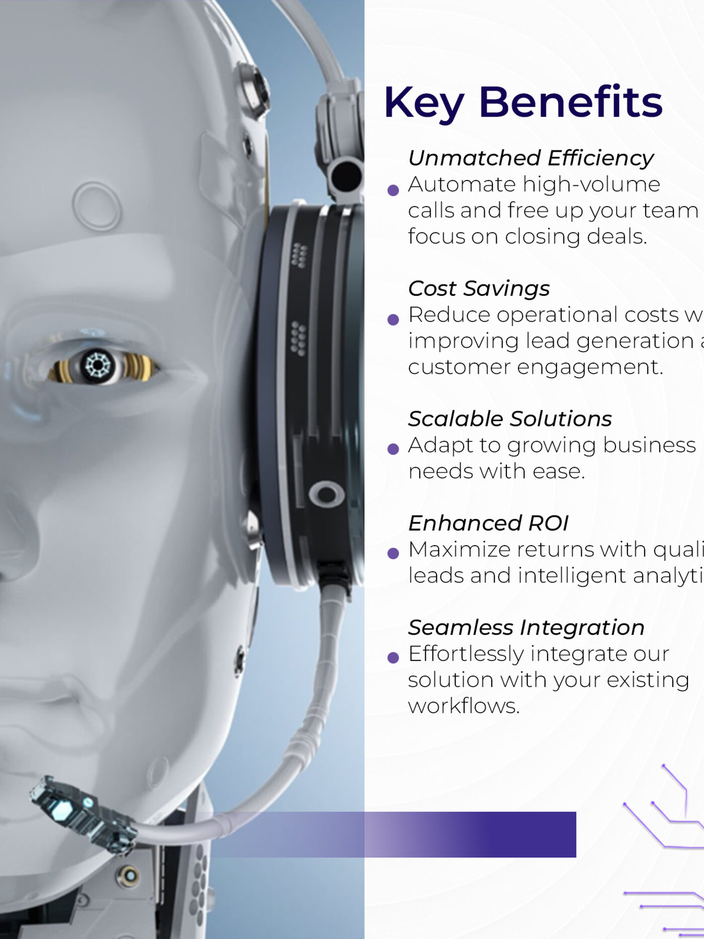 SPAI capabilities and pricing