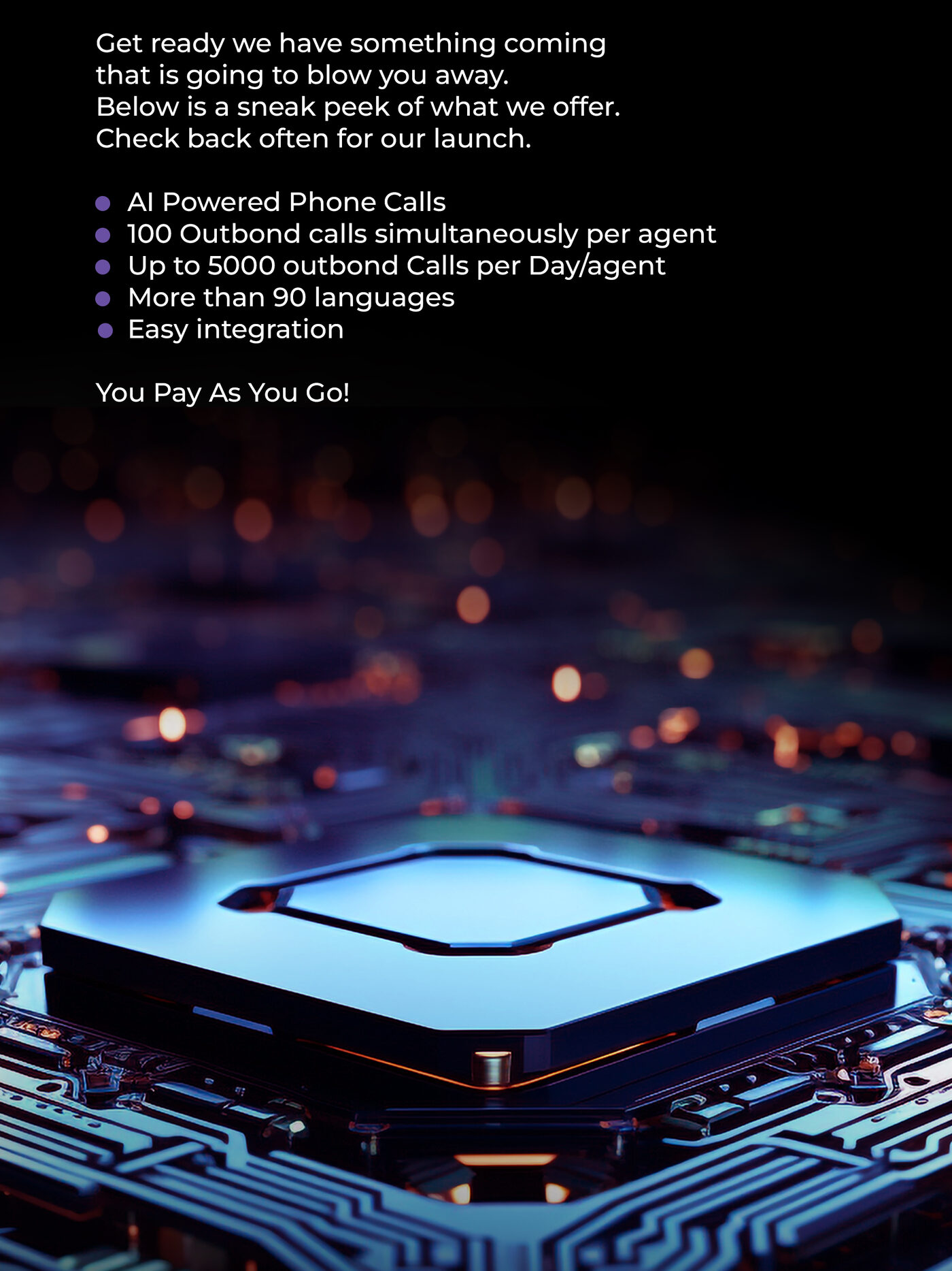 SPAI product interface